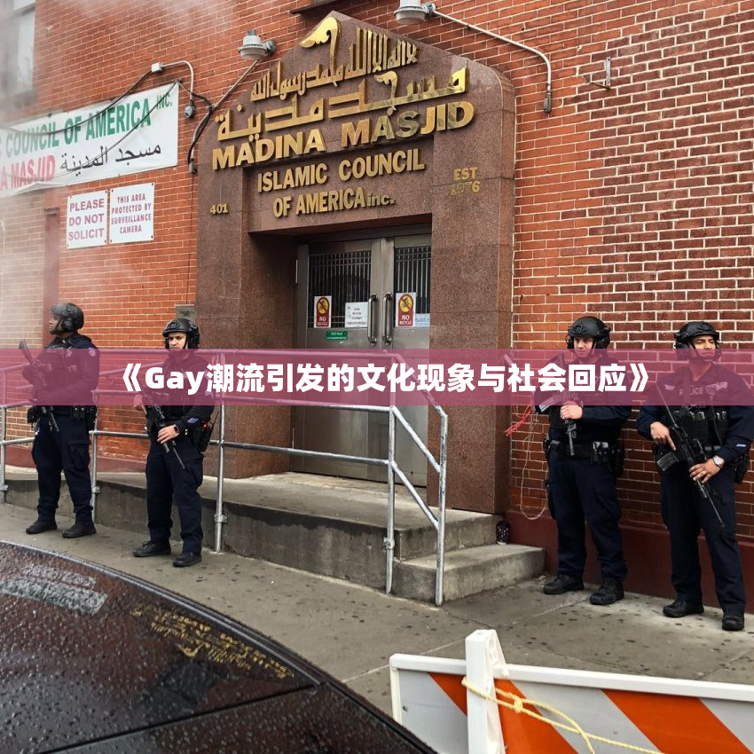 《Gay潮流引发的文化现象与社会回应》