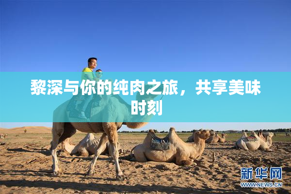 黎深与你的纯肉之旅，共享美味时刻