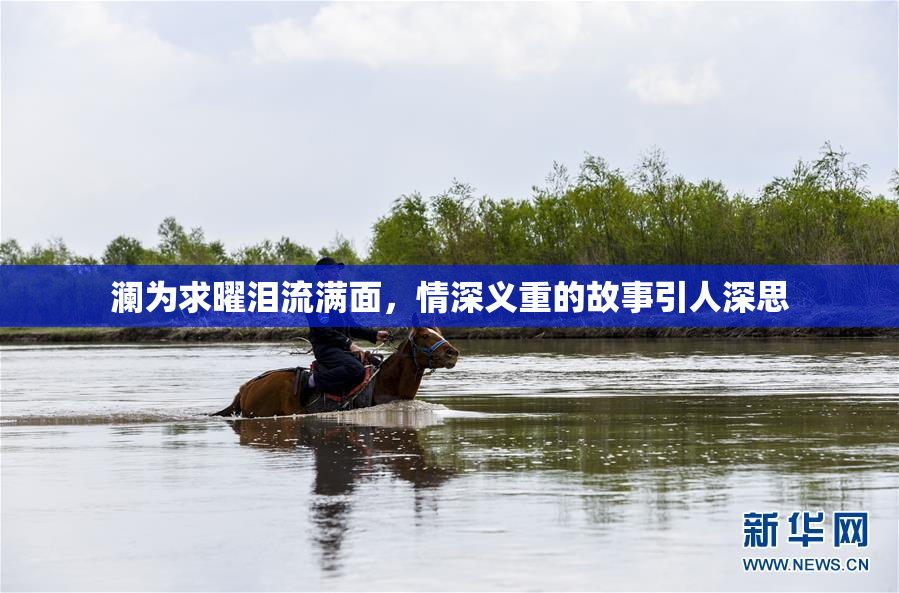 澜为求曜泪流满面，情深义重的故事引人深思