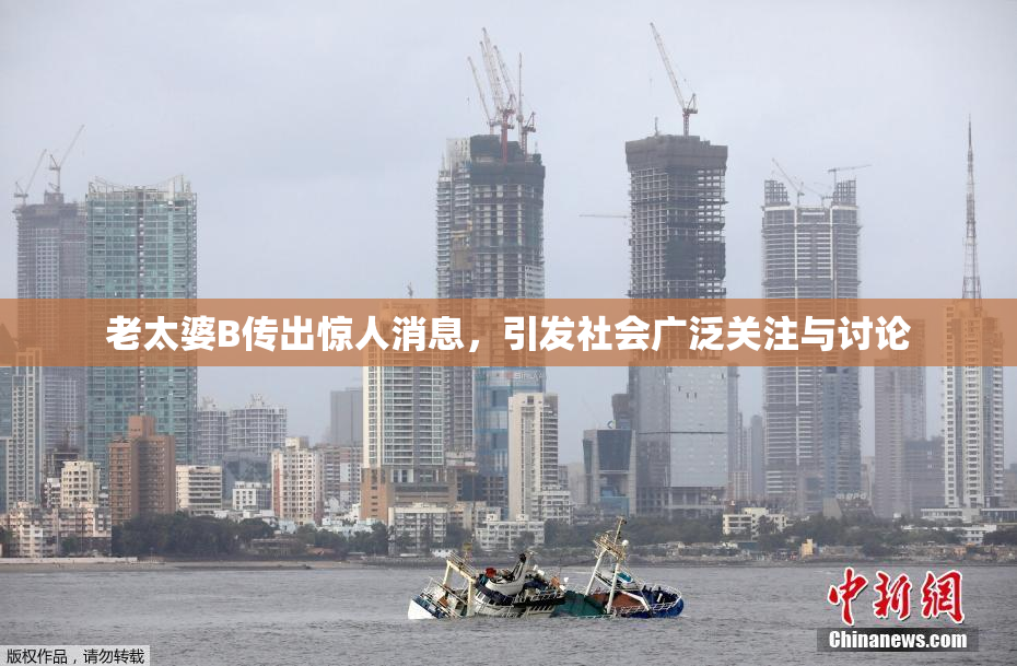 老太婆B传出惊人消息，引发社会广泛关注与讨论