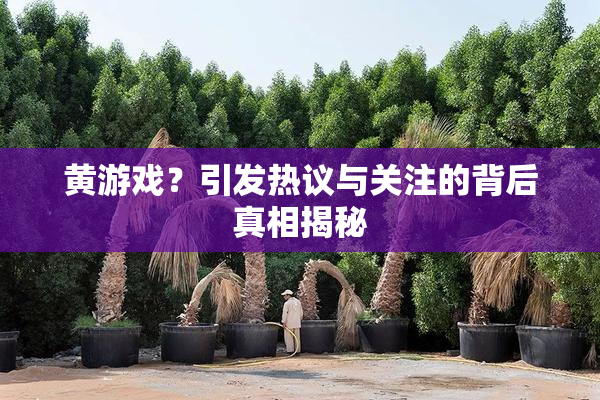 黄游戏？引发热议与关注的背后真相揭秘