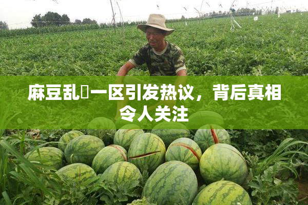 麻豆乱婬一区引发热议，背后真相令人关注