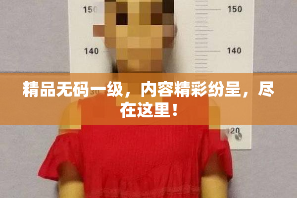 精品无码一级，内容精彩纷呈，尽在这里！