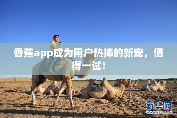 香蕉app成为用户热捧的新宠，值得一试！