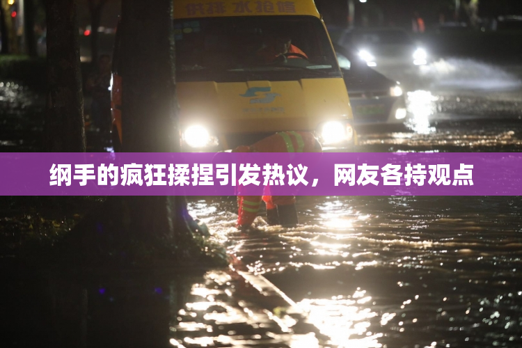 纲手的疯狂揉捏引发热议，网友各持观点