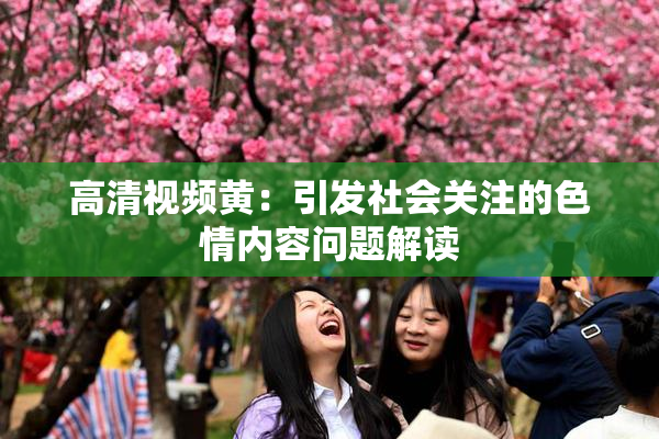 高清视频黄：引发社会关注的色情内容问题解读
