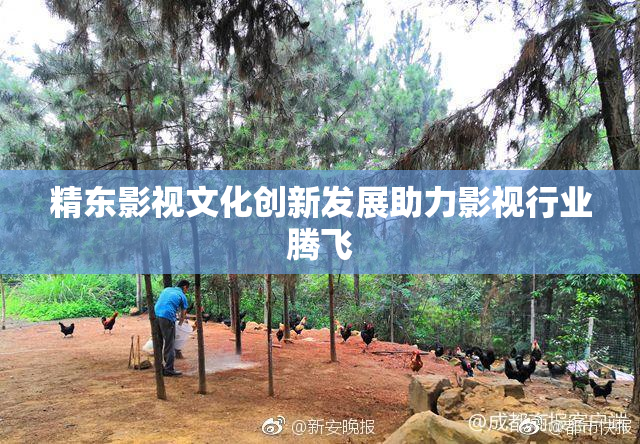 精东影视文化创新发展助力影视行业腾飞