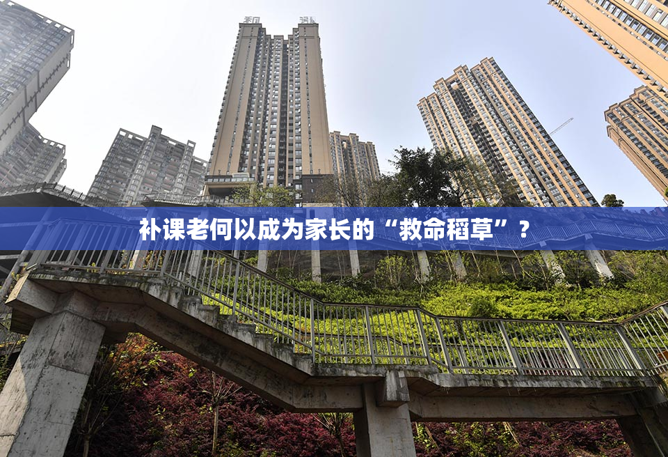 补课老何以成为家长的“救命稻草”？