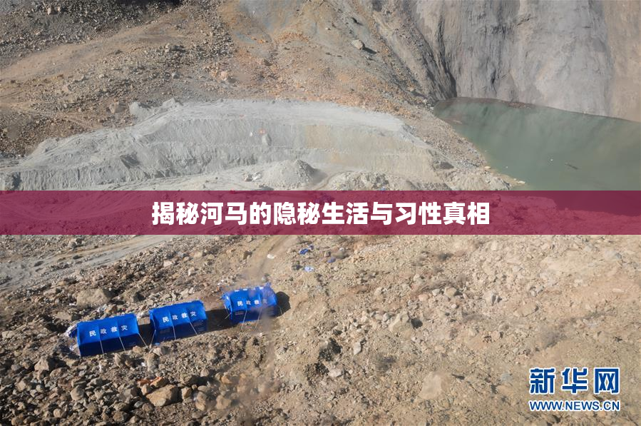 揭秘河马的隐秘生活与习性真相