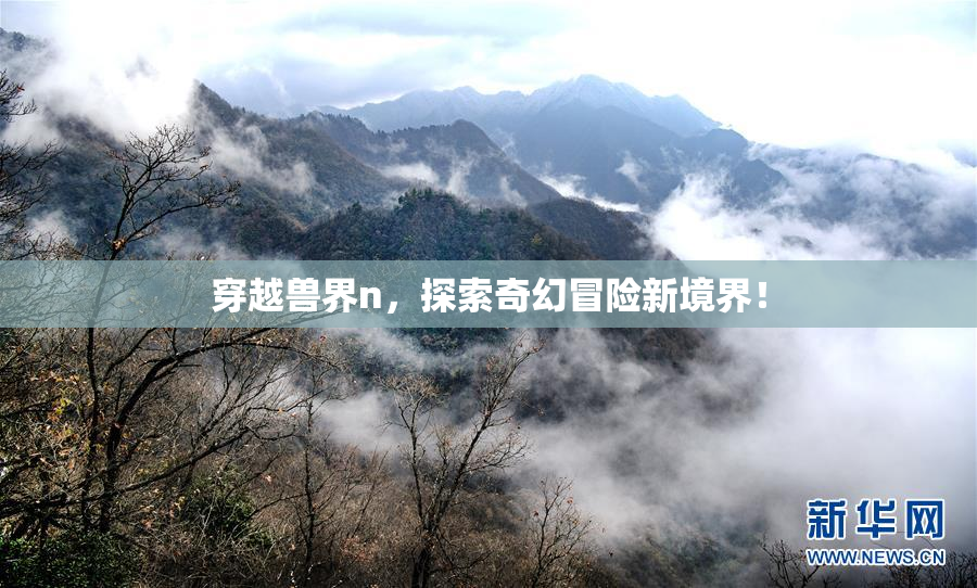 穿越兽界n，探索奇幻冒险新境界！