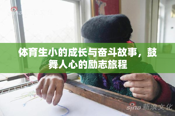 体育生小的成长与奋斗故事，鼓舞人心的励志旅程