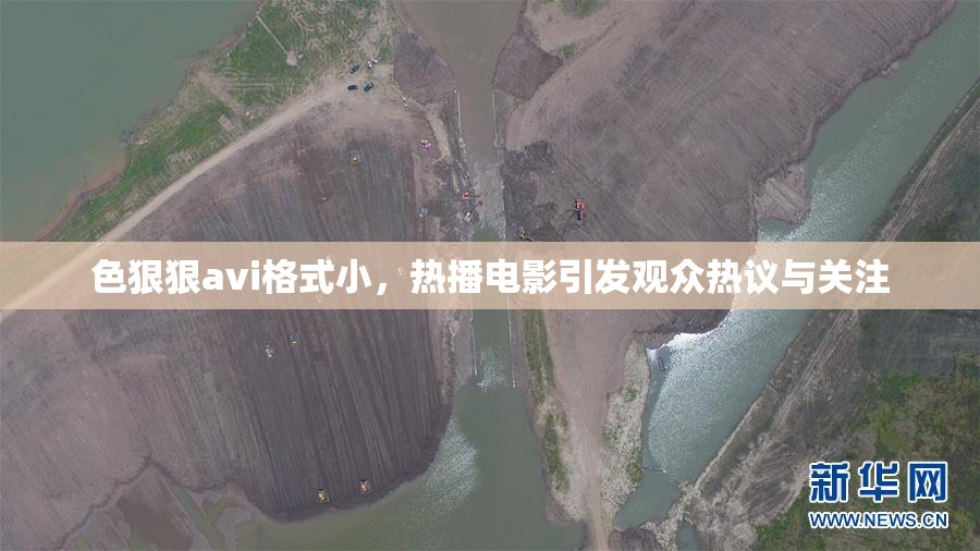 色狠狠avi格式小，热播电影引发观众热议与关注