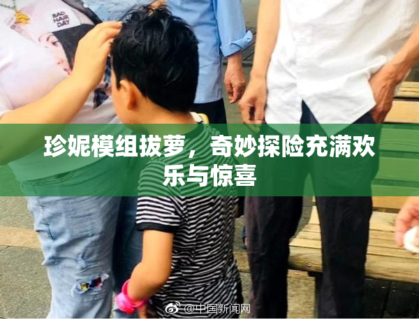 珍妮模组拔萝，奇妙探险充满欢乐与惊喜