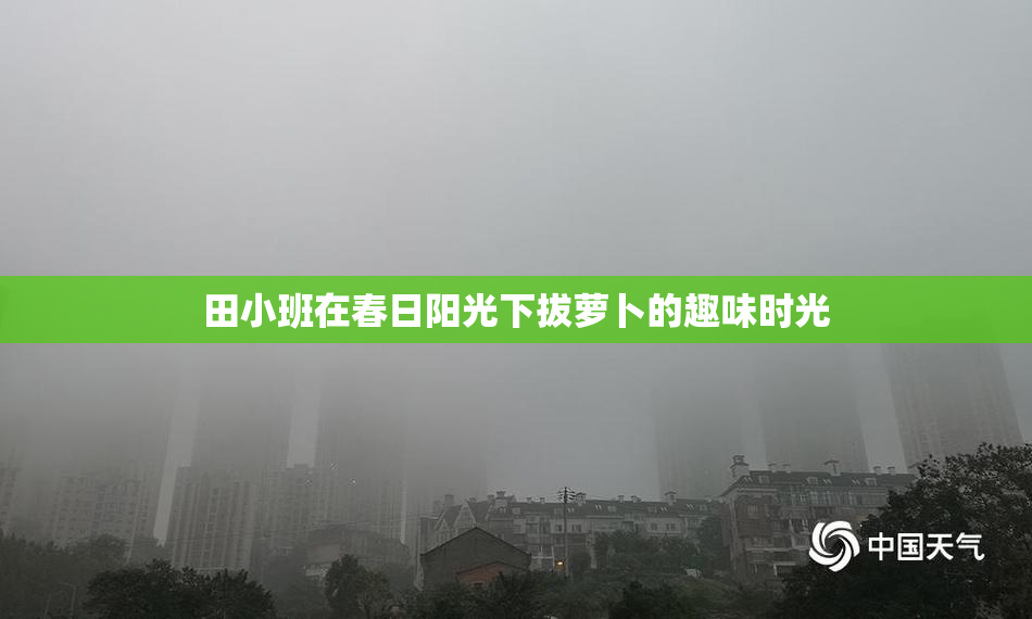 田小班在春日阳光下拔萝卜的趣味时光