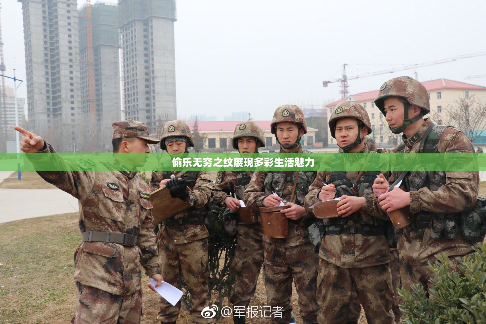 偷乐无穷之纹展现多彩生活魅力