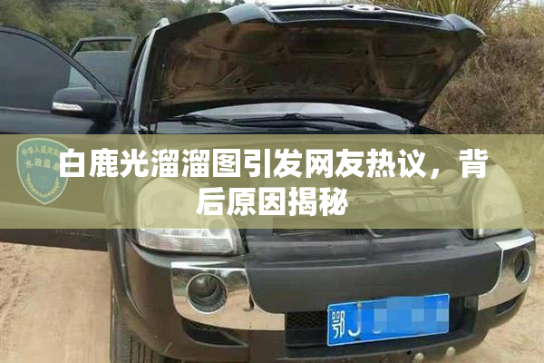 白鹿光溜溜图引发网友热议，背后原因揭秘