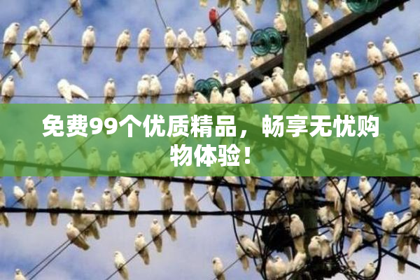 免费99个优质精品，畅享无忧购物体验！