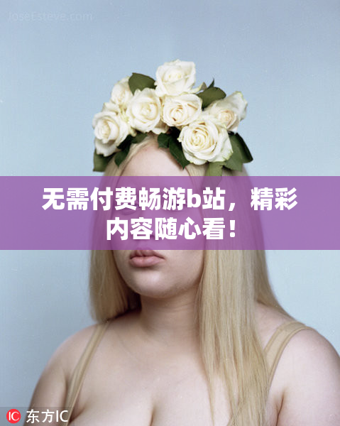 无需付费畅游b站，精彩内容随心看！