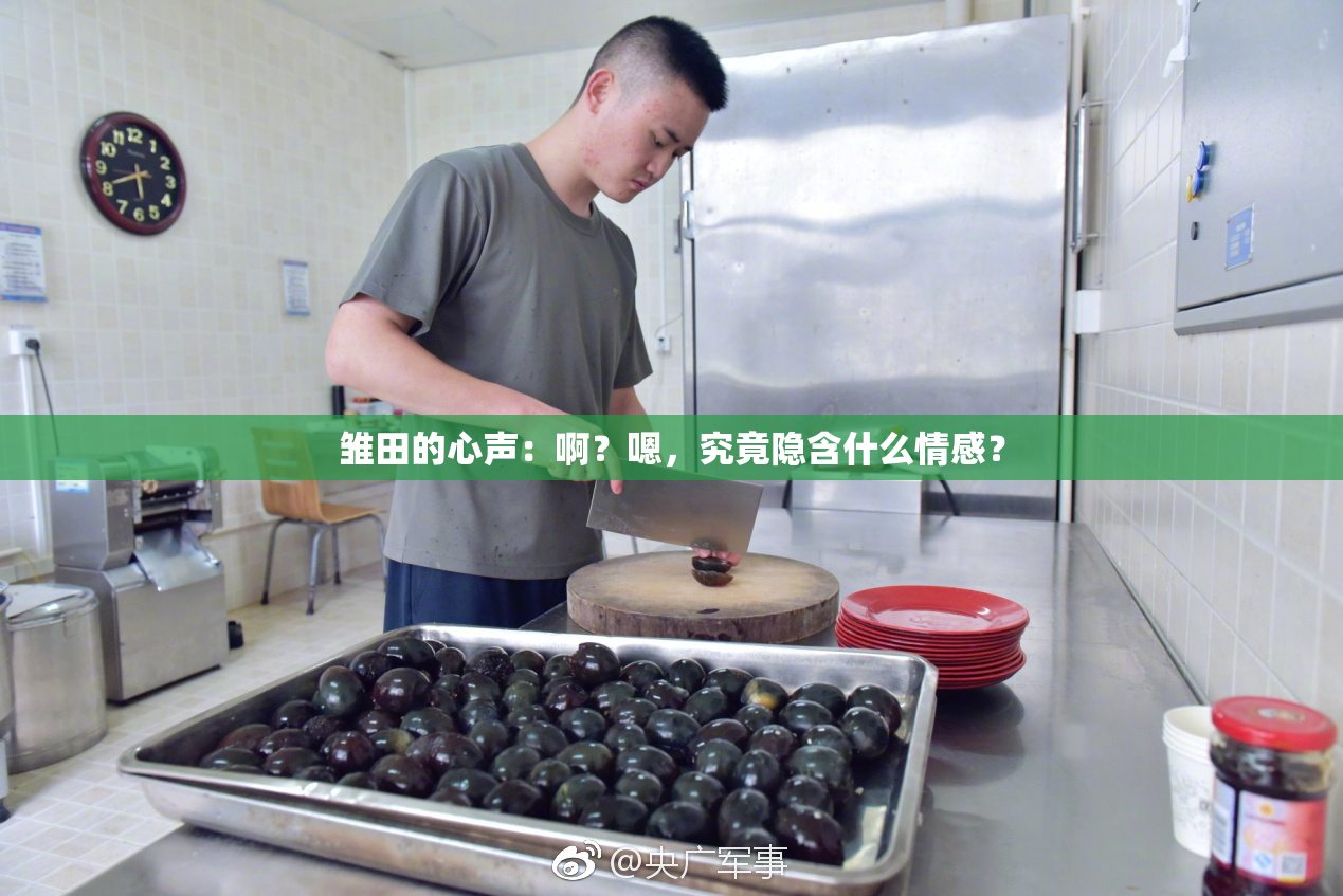 雏田的心声：啊？嗯，究竟隐含什么情感？