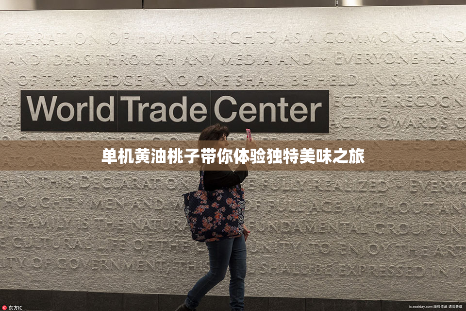单机黄油桃子带你体验独特美味之旅