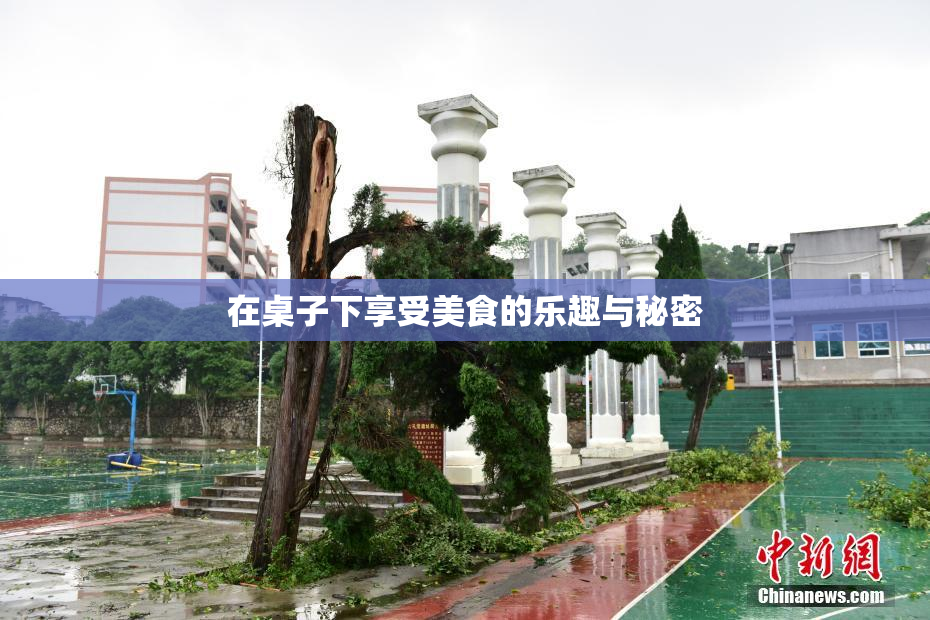 在桌子下享受美食的乐趣与秘密