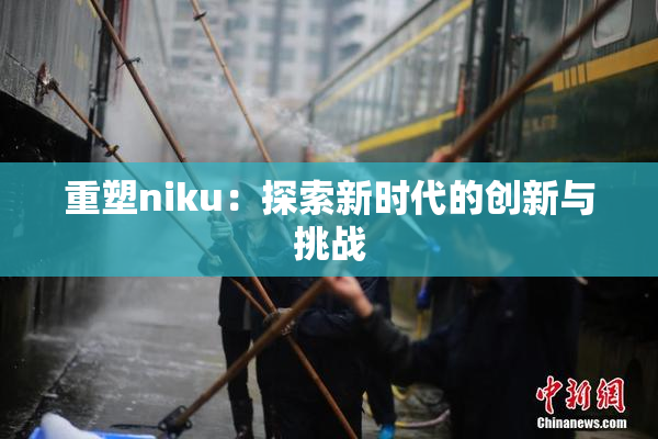 重塑niku：探索新时代的创新与挑战