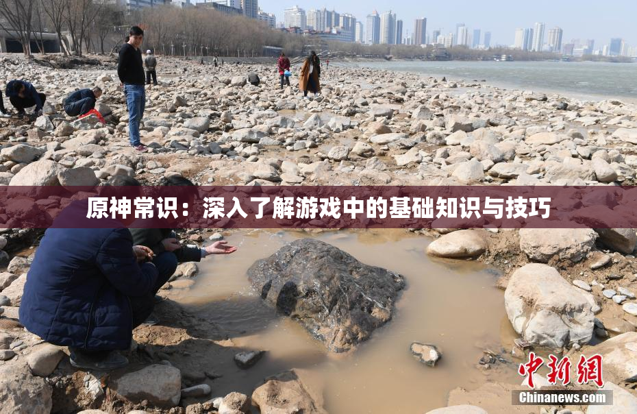 原神常识：深入了解游戏中的基础知识与技巧