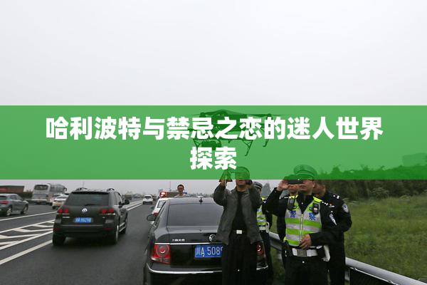 哈利波特与禁忌之恋的迷人世界探索