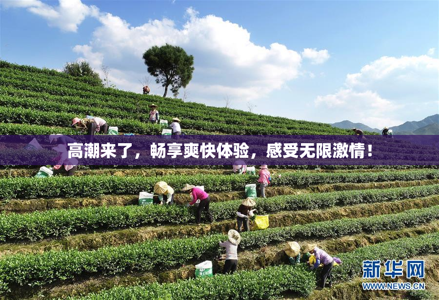 高潮来了，畅享爽快体验，感受无限激情！