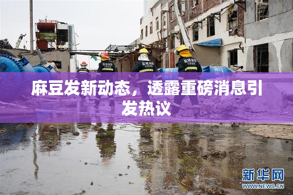 麻豆发新动态，透露重磅消息引发热议