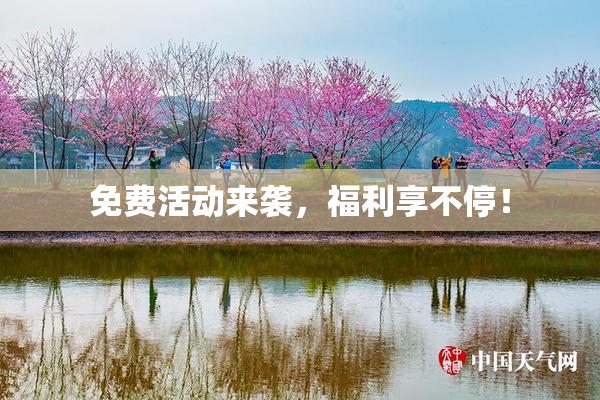 免费活动来袭，福利享不停！