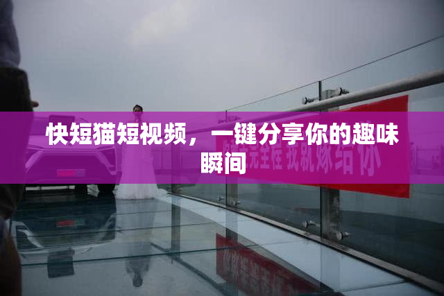 快短猫短视频，一键分享你的趣味瞬间