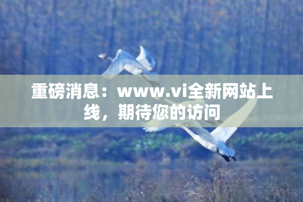 重磅消息：www.vi全新网站上线，期待您的访问