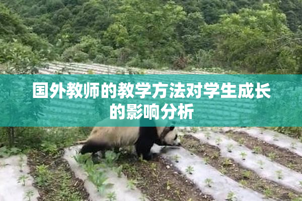 国外教师的教学方法对学生成长的影响分析