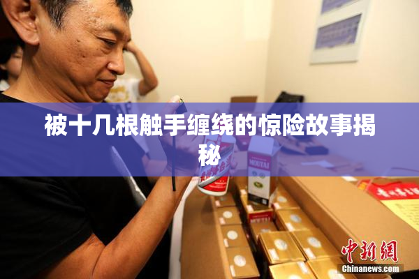 被十几根触手缠绕的惊险故事揭秘
