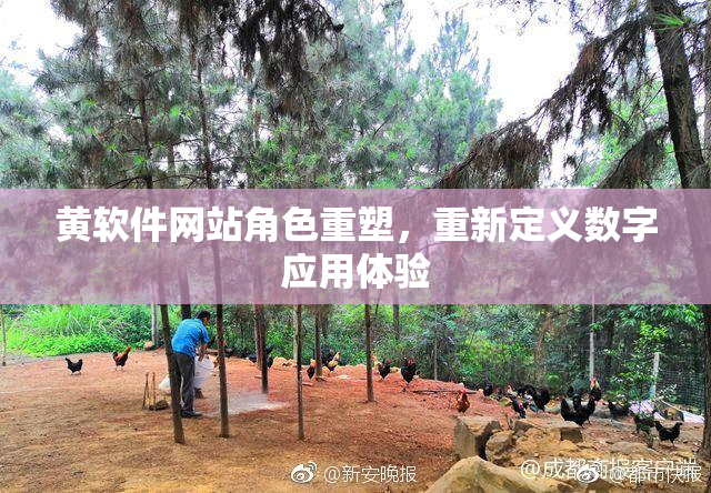 黄软件网站角色重塑，重新定义数字应用体验