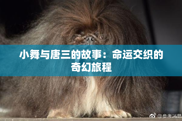小舞与唐三的故事：命运交织的奇幻旅程