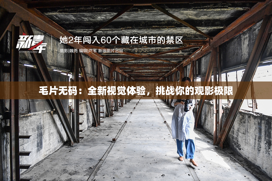 毛片无码：全新视觉体验，挑战你的观影极限