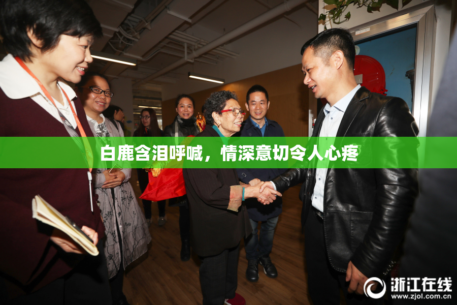 白鹿含泪呼喊，情深意切令人心疼