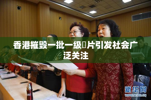 香港摧毁一批一级婬片引发社会广泛关注