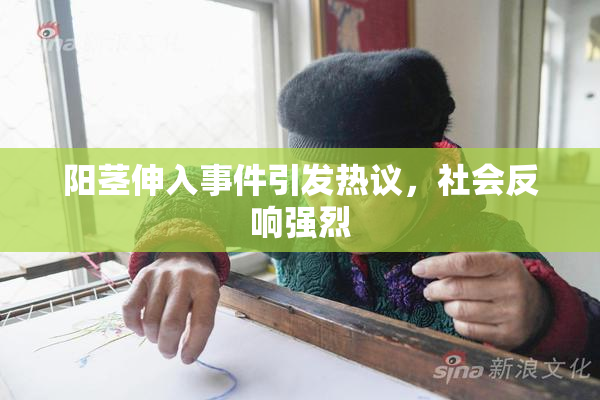 阳茎伸入事件引发热议，社会反响强烈