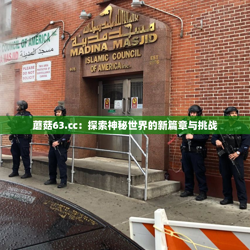 蘑菇63.㏄：探索神秘世界的新篇章与挑战