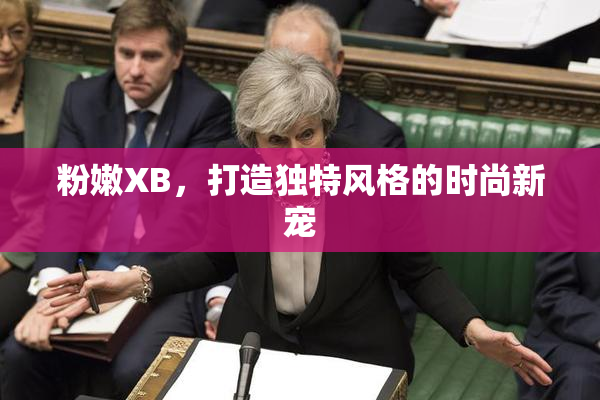 粉嫩XB，打造独特风格的时尚新宠