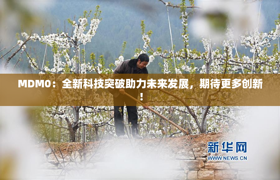 MDM0：全新科技突破助力未来发展，期待更多创新！
