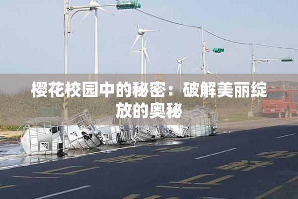 樱花校园中的秘密：破解美丽绽放的奥秘