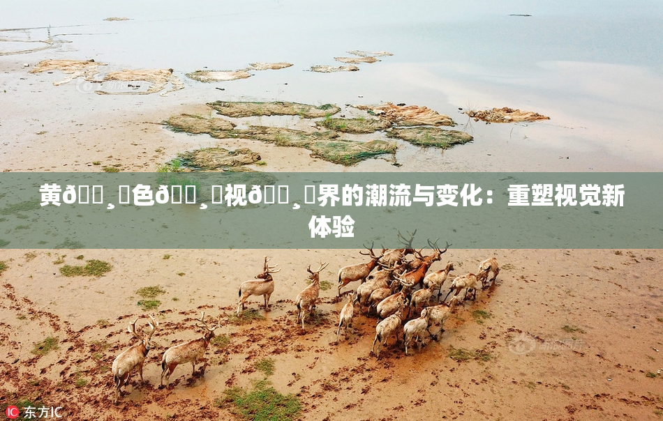 黄🌸‌色🌸‌视🌸‌界的潮流与变化：重塑视觉新体验