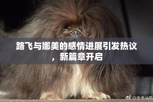 路飞与娜美的感情进展引发热议，新篇章开启