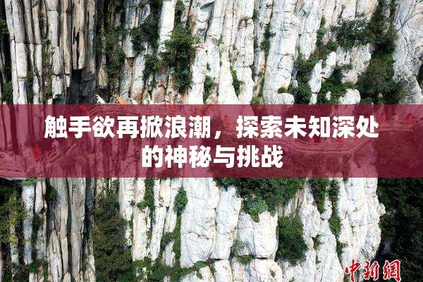 触手欲再掀浪潮，探索未知深处的神秘与挑战