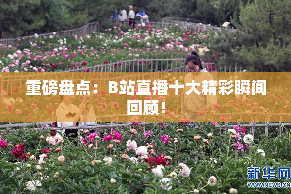 重磅盘点：B站直播十大精彩瞬间回顾！