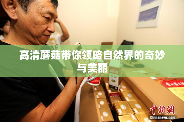 高清蘑菇带你领略自然界的奇妙与美丽